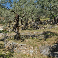 Другое в Греции, Фессалия, 100 кв.м.