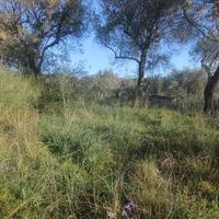 Земельный участок в Греции, Ионические острова