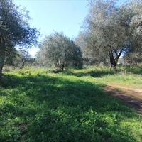 Земельный участок в Греции, Ионические острова