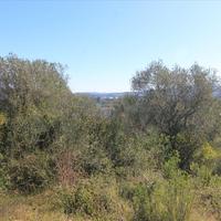 Земельный участок в Греции, Ионические острова