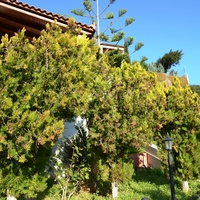 Other in Greece, Crete, Irakleion, 220 sq.m.