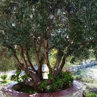 Villa in Greece, Crete, Chania, 100 sq.m.