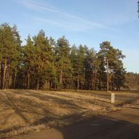 Land plot in the suburbs in Latvia, Riga, Bukulti