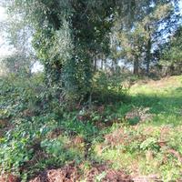 Земельный участок в Греции, Ионические острова