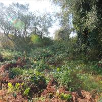 Земельный участок в Греции, Ионические острова