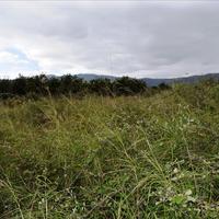 Land plot in Greece, Crete, Chania