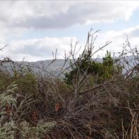 Land plot in Greece, Crete, Chania