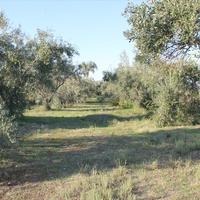 Business center in Greece, Central Macedonia, Center, 1100 sq.m.