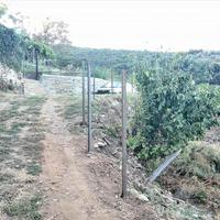 Land plot in Greece, Thessaly