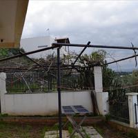 Business center in Greece, Crete, Chania, 249 sq.m.