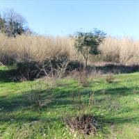 Land plot in Greece, Ionian Islands