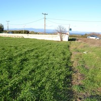 Земельный участок в Греции, Центральная Македония, Центр