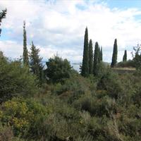 Земельный участок в Греции, Ионические острова