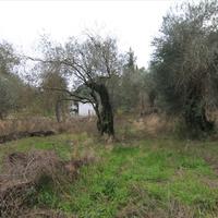 Земельный участок в Греции, Ионические острова