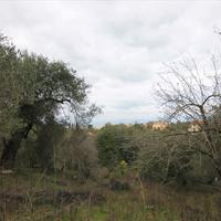 Земельный участок в Греции, Ионические острова