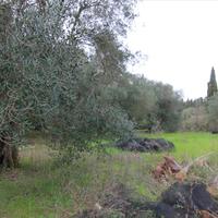 Land plot in Greece, Ionian Islands
