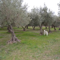 Land plot in Greece, Central Macedonia, Center