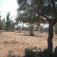 Земельный участок в Греции, Кавала