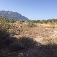 Land plot in Greece, Crete