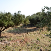 Land plot in Greece, Crete