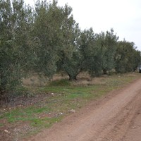 Земельный участок в Греции, Центральная Македония, Центр