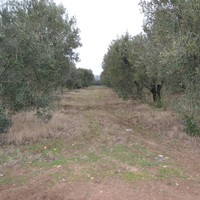 Земельный участок в Греции, Центральная Македония, Центр