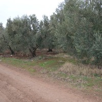 Земельный участок в Греции, Центральная Македония, Центр