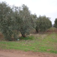 Земельный участок в Греции, Центральная Македония, Центр