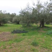 Другое в Греции, Центральная Македония, Центр, 200 кв.м.