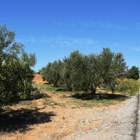 Land plot in Greece, Central Macedonia, Khal