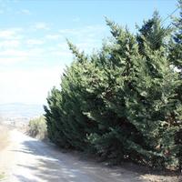 Другое в Греции, Центральная Македония, Центр, 130 кв.м.