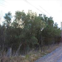 Другое в Греции, Центральная Македония, Центр, 130 кв.м.