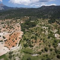 House in Spain, Balearic Islands, Palma, 2800 sq.m.