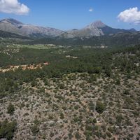 House in Spain, Balearic Islands, Palma, 2800 sq.m.