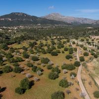 House in Spain, Balearic Islands, Palma, 2800 sq.m.