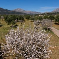 House in Spain, Balearic Islands, Palma, 2800 sq.m.