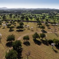 House in Spain, Balearic Islands, Palma, 2800 sq.m.