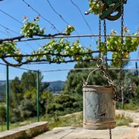 House in Spain, Balearic Islands, Palma, 2800 sq.m.