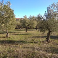 Land plot in Greece, Central Macedonia, Center