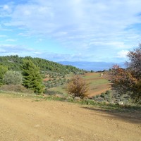 Земельный участок в Греции, Центральная Македония, Центр