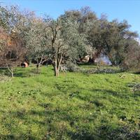 Land plot in Greece, Ionian Islands
