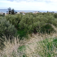 Земельный участок в Греции, Крит, Ираклион