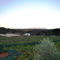 Land plot in Greece, Crete, Irakleion