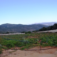 Land plot in Greece, Crete, Irakleion