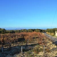 Land plot in Greece, Crete, Irakleion