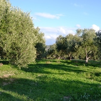 Land plot in Greece, Crete, Irakleion