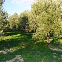 Land plot in Greece, Crete, Irakleion