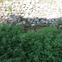 Land plot in Greece, Ionian Islands