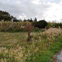 Land plot in Greece, Crete, Chania