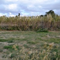 Land plot in Greece, Crete, Chania